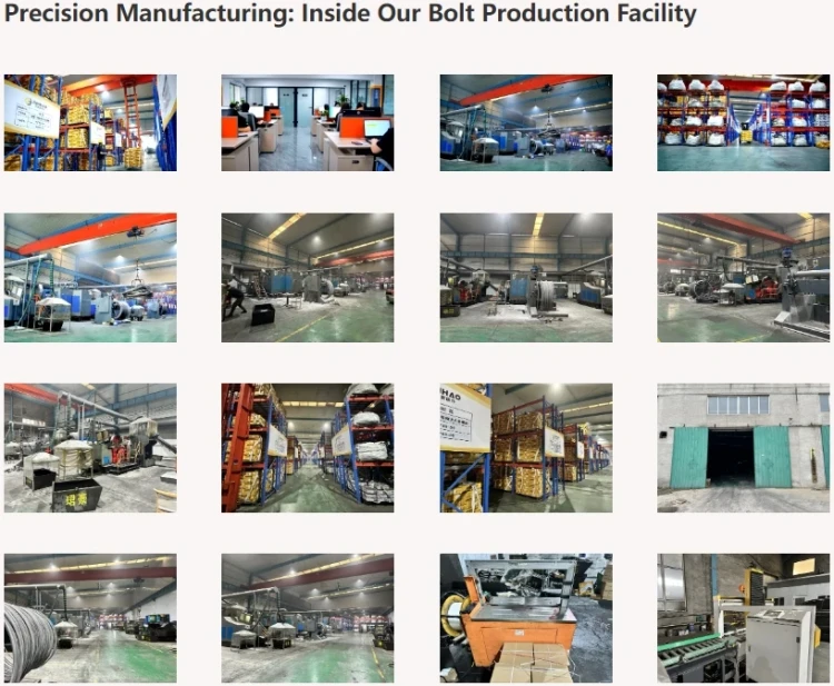 Get instant quote for stainless hex and allen bolts